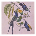 Susumu Yokota Sakura Формат: Audio CD (Jewel Case) Дистрибьюторы: Skintone Records, Концерн "Группа Союз" Великобритания Лицензионные товары Характеристики аудионосителей 1999 г Альбом: Импортное издание инфо 5731v.