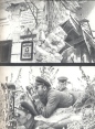 Их оружие кинокамера Рассказы фронтовых кинооператоров Букинистическое издание Сохранность: Хорошая Издательство: Искусство, 1984 г Твердый переплет, 278 стр Тираж: 30000 экз Формат: 70x90/16 (~170х215 мм) инфо 7893z.