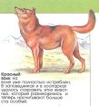 Животные - страшилища и малютки Серия: Взгляд на мир инфо 5036t.
